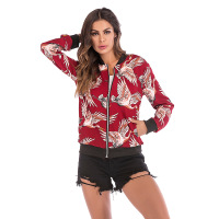 uploads/erp/collection/images/Women Clothing/YYFS/XU0369066/img_b/img_b_XU0369066_4_i02VH6S9XAszcy-_CVG7q69DwTVB3fXQ